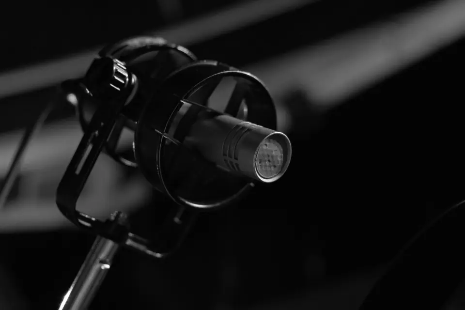 A condenser microphone in a round shock mount is shown close up against a dark background.