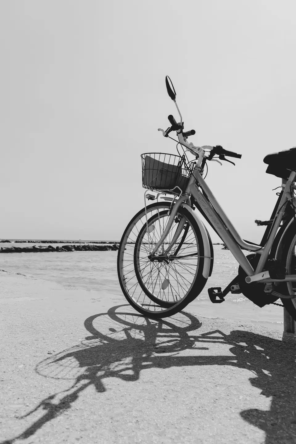 A bicycle with a front basket stands on a paved waterfront with its long shadow falling on the ground.