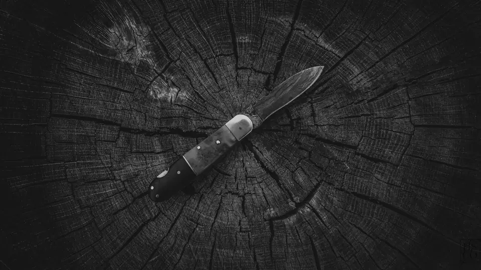 A folding pocketknife with a dark handle lies open on the cracked surface of a tree stump.