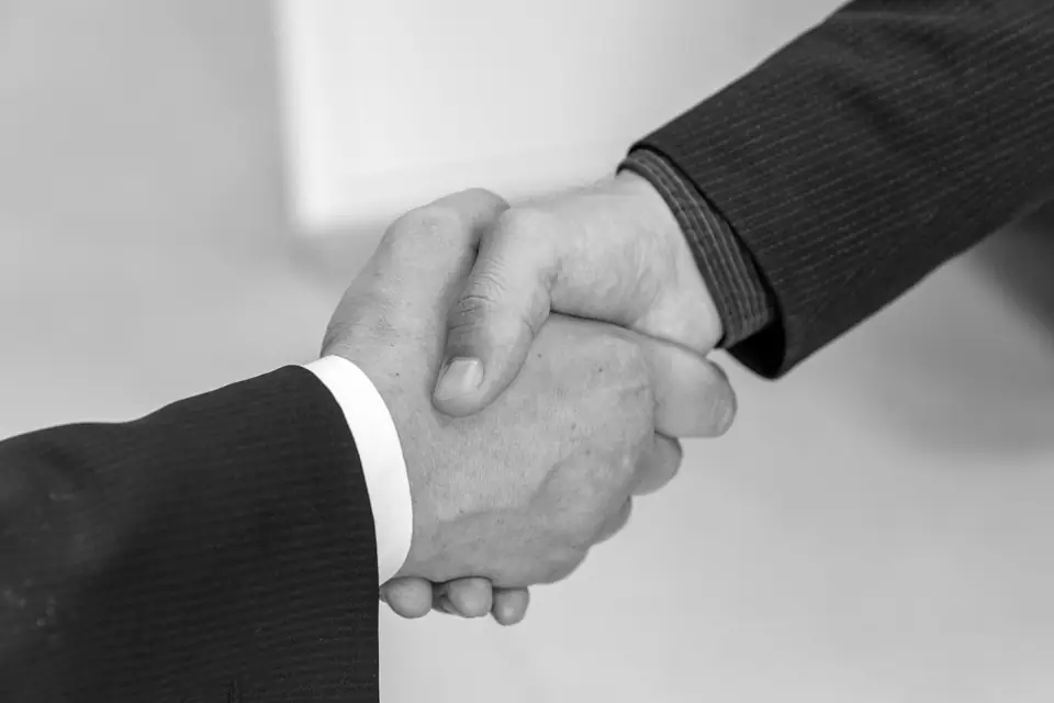 A close view of two hands in dark suit sleeves meeting in a handshake against a pale background.