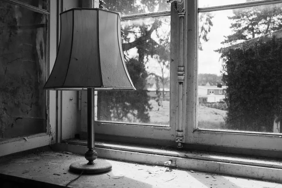 An old table lamp with a fabric shade stands on a dusty windowsill before a garden view.